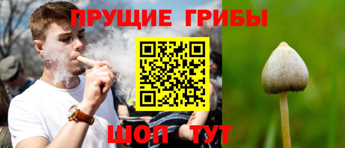 Галлюциногенные грибы GOLDEN TEACHER  Вход с VPN  Нарткала 